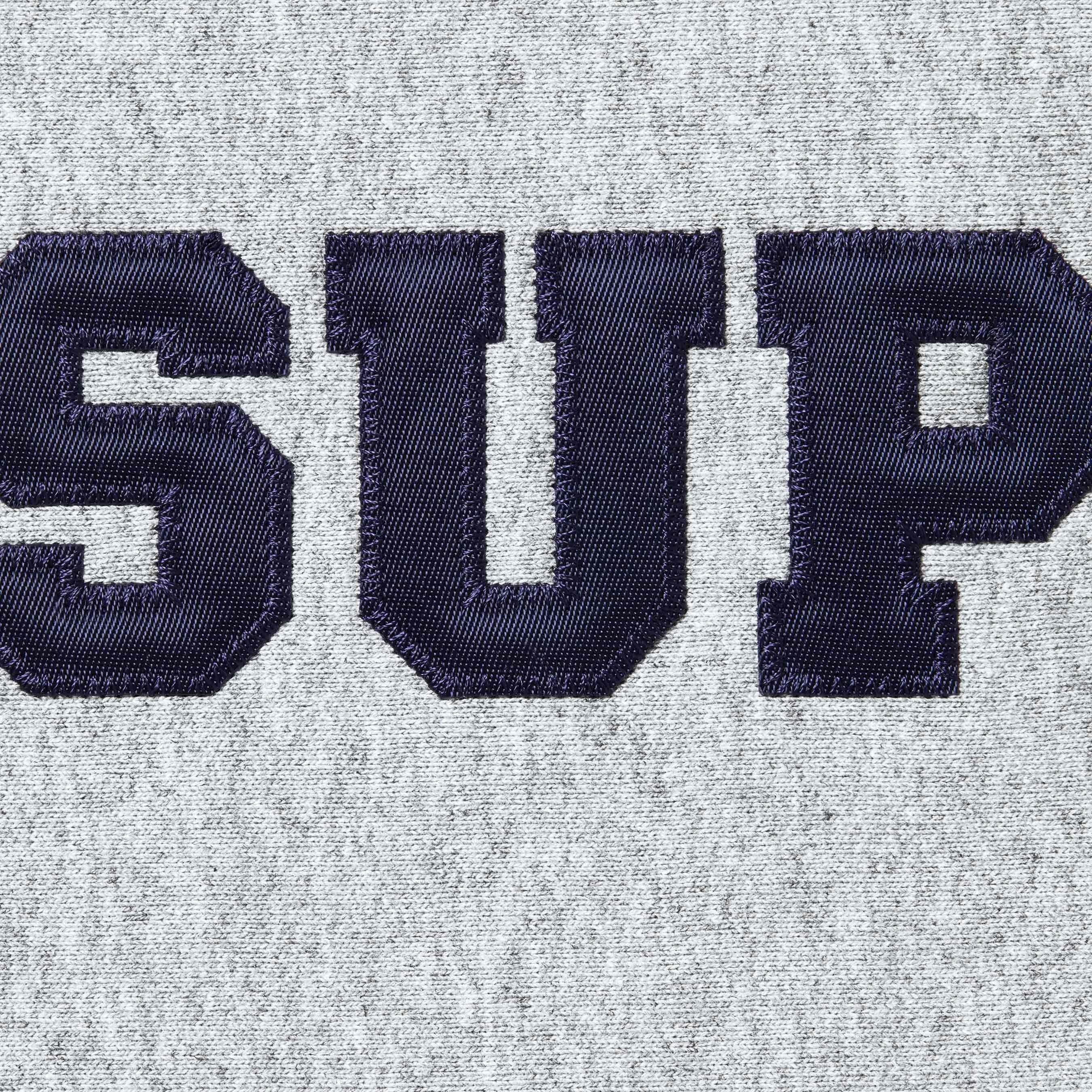 Collegiate Hooded Sweatshirt view 11